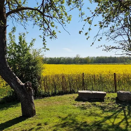 „utkiek“ - Hof Mühlenkoppel